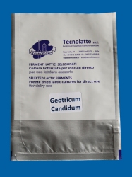 Muffa Geotricum Candidum in dose per 50 litri (5U) (5 buste)