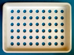 Distributor for curd with 54 drain holes